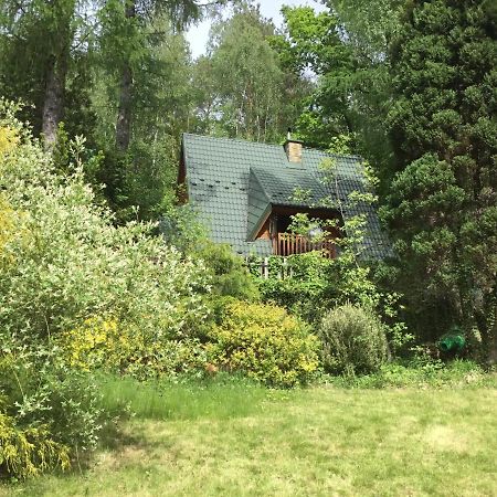 Domek W Lesie Leki  Exterior photo