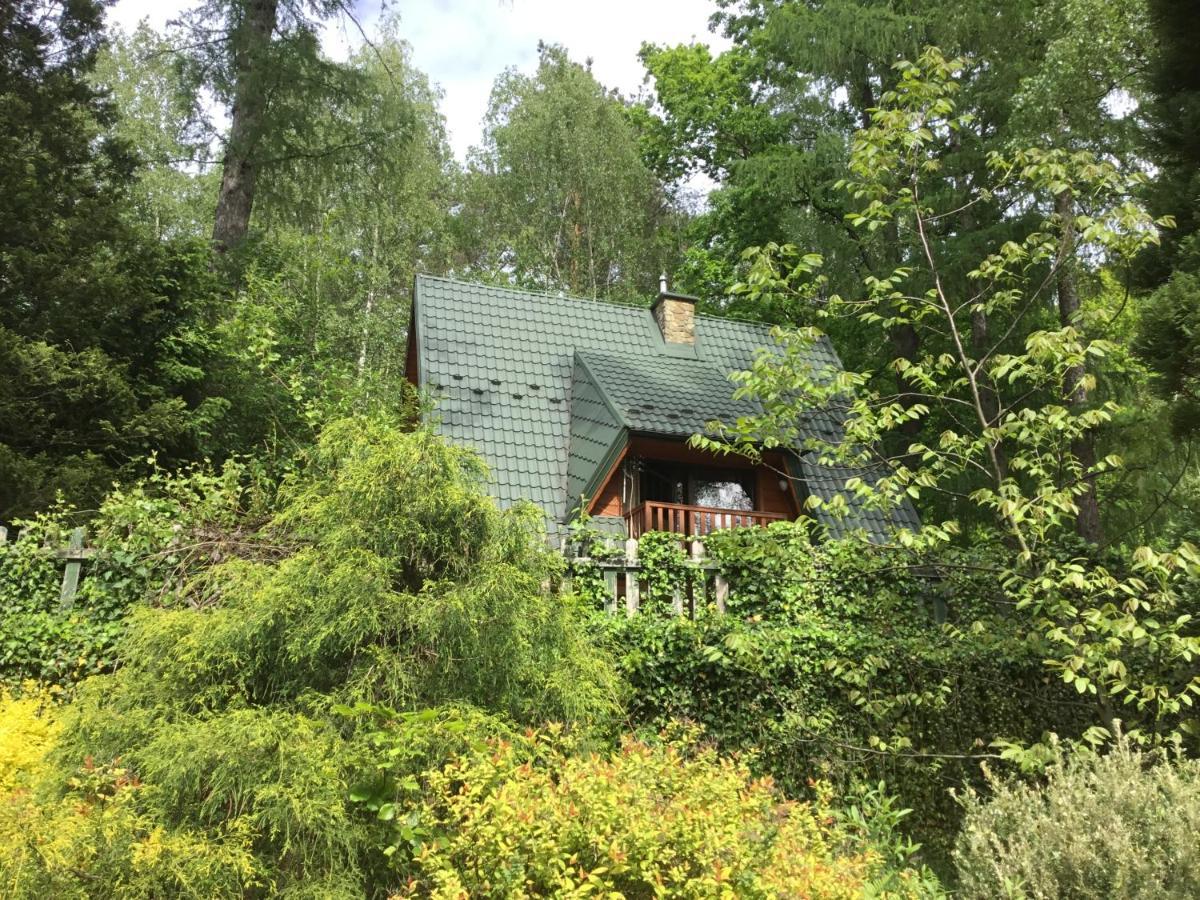 Domek W Lesie Leki  Exterior photo