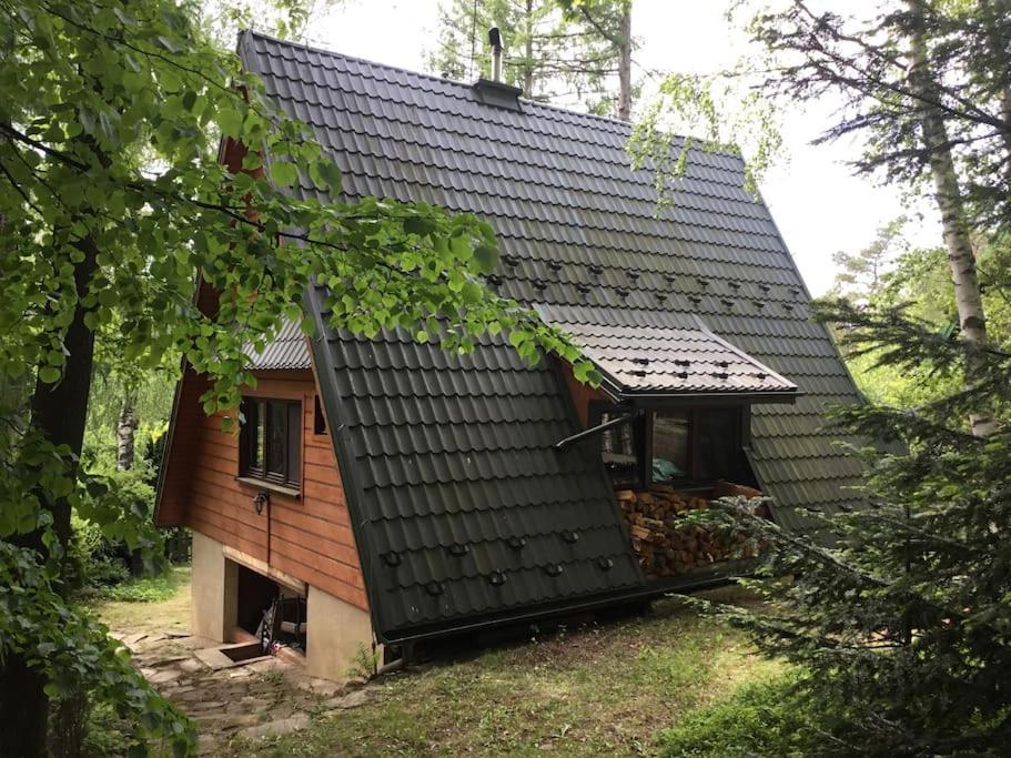 Domek W Lesie Leki  Exterior photo